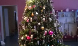 новогодняя елка в Детском музее